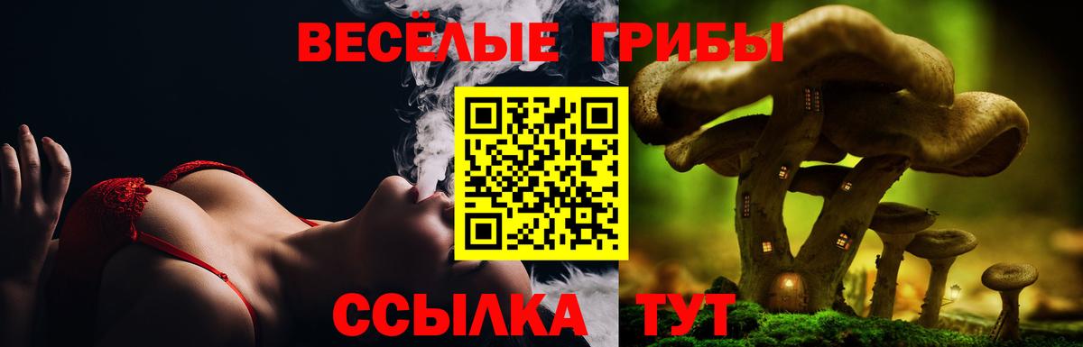 Галлюциногенные грибы GOLDEN TEACHER Волжский